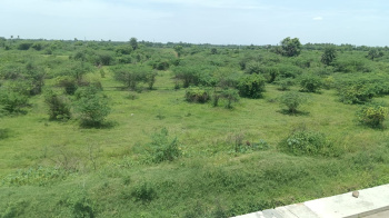  Agricultural Land for Sale in Ochery, Kanchipuram
