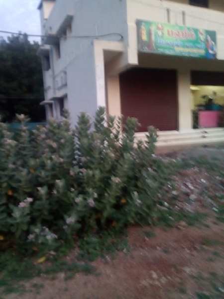  Residential Plot 1242 Sq.ft. for Sale in Kumbakonam, Thanjavur