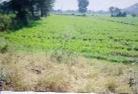  Agricultural Land for Sale in Dangiyo ki hunder, Udaipur, Udaipur