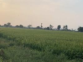  Agricultural Land for Sale in Shilaj, Ahmedabad
