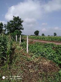  Agricultural Land for Sale in Chalisgaon Road, Dhule
