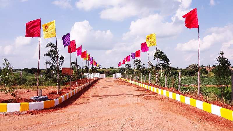  Residential Plot 597 Sq. Yards for Sale in JP Darga, Kothur, Hyderabad