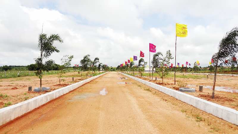  Residential Plot 4518 Sq.ft. for Sale in JP Darga, Kothur, Hyderabad