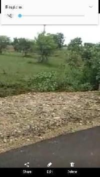  Agricultural Land for Sale in Bhainsa, Nirmal