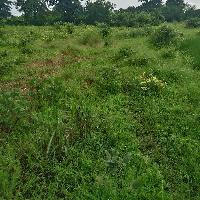  Commercial Land for Sale in Dharampur, Valsad