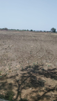  Agricultural Land for Sale in Gulbarga, Kalaburagi