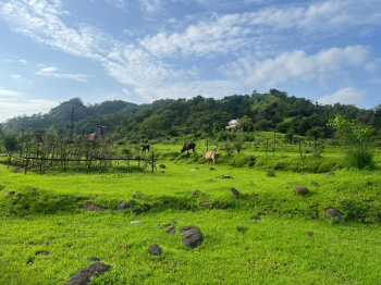  Agricultural Land for Sale in Pen, Raigad