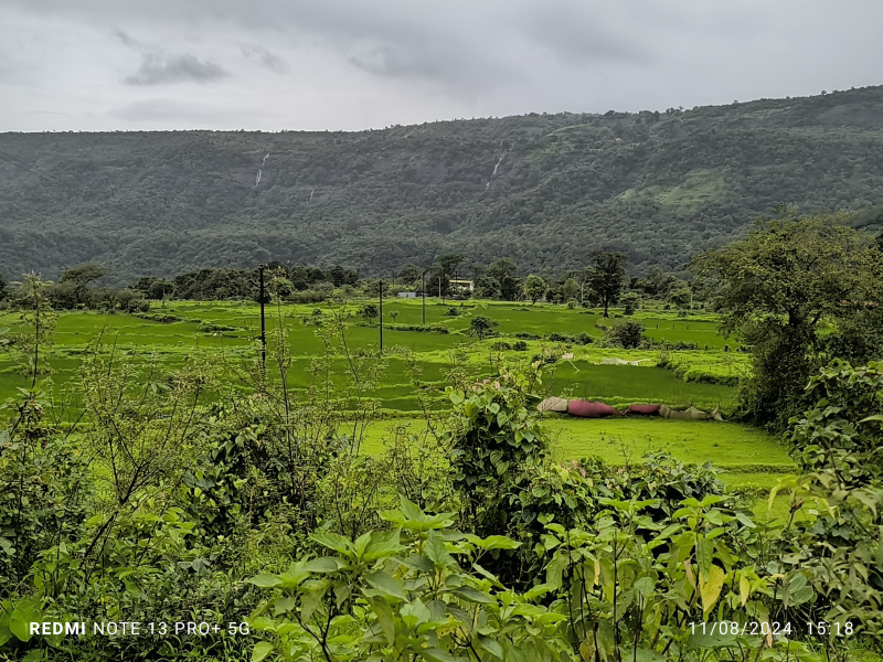  Agricultural Land 2000 Sq.ft. for Sale in Pen, Raigad