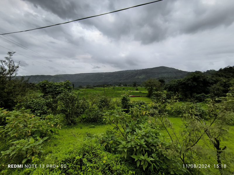  Agricultural Land 2000 Sq.ft. for Sale in Pen, Raigad