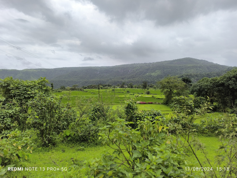  Agricultural Land 2000 Sq.ft. for Sale in Pen, Raigad