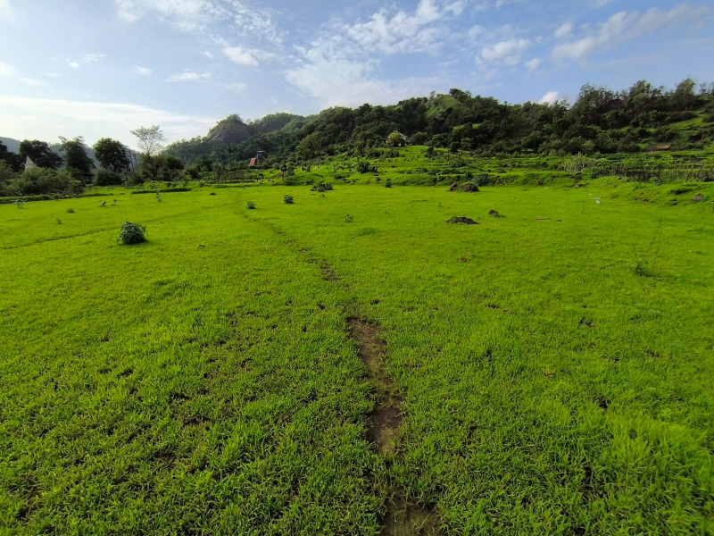  Agricultural Land 2 Guntha for Sale in Pen, Raigad