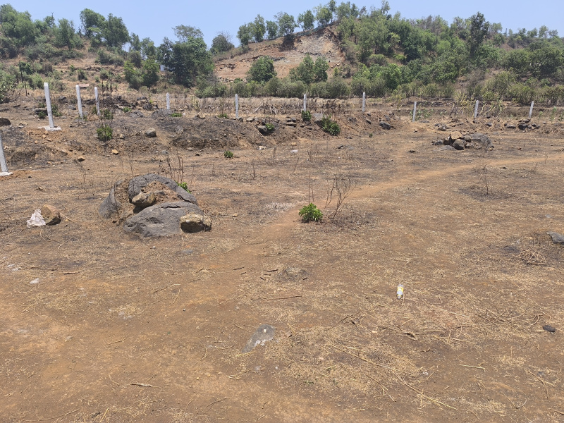  Residential Plot 5000 Sq.ft. for Sale in Pen, Raigad