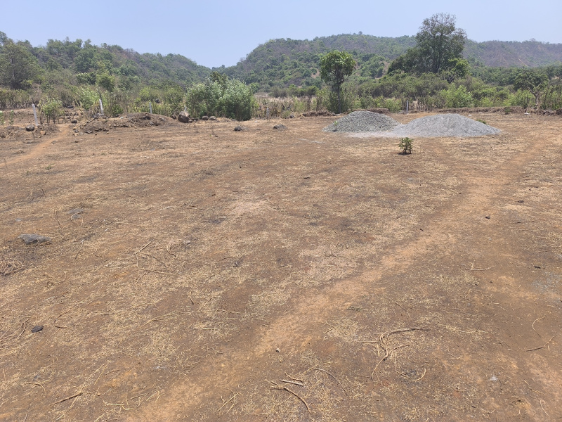 Residential Plot 5000 Sq.ft. for Sale in Pen, Raigad