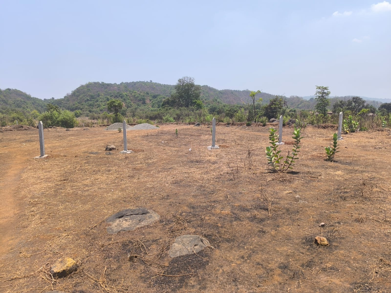  Residential Plot 16000 Sq.ft. for Sale in Pen, Raigad