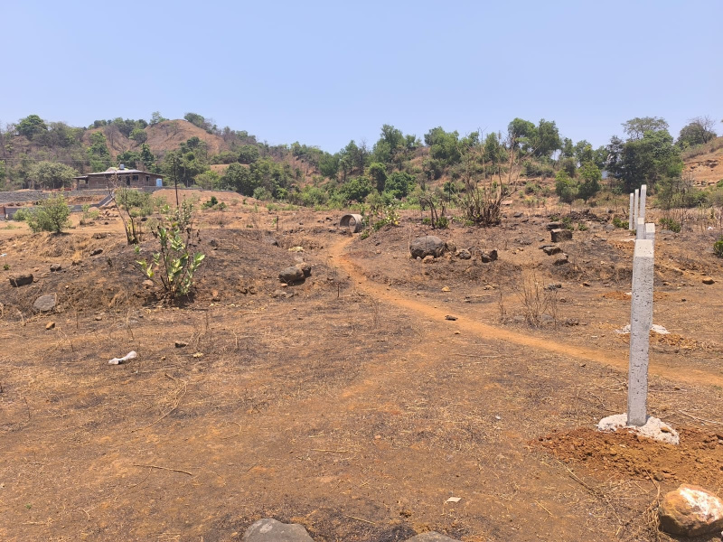  Residential Plot 16000 Sq.ft. for Sale in Pen, Raigad