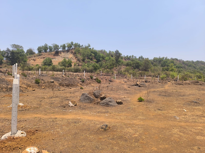  Residential Plot 16000 Sq.ft. for Sale in Pen, Raigad