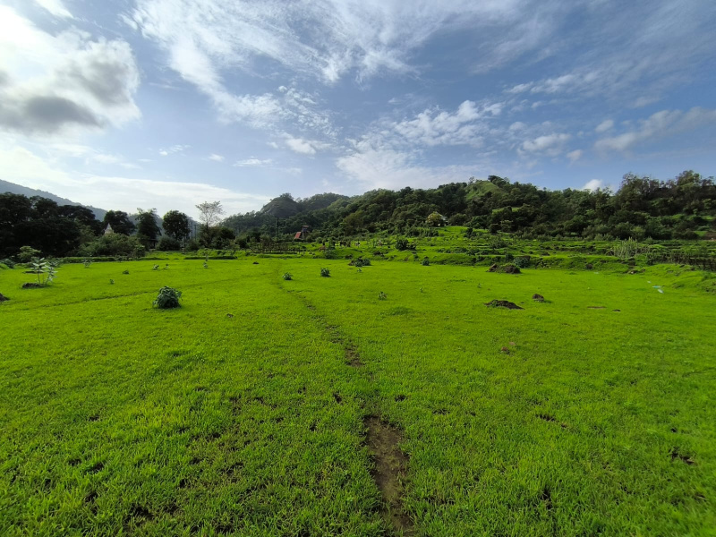  Residential Plot 1 Acre for Sale in Panvel, Navi Mumbai