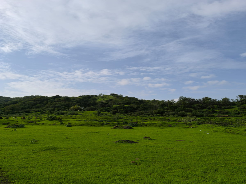  Residential Plot 1 Acre for Sale in Panvel, Navi Mumbai