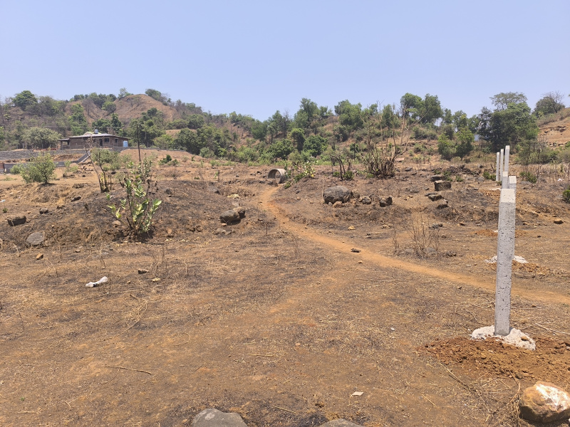  Residential Plot 15 Guntha for Sale in Vindhane, Navi Mumbai