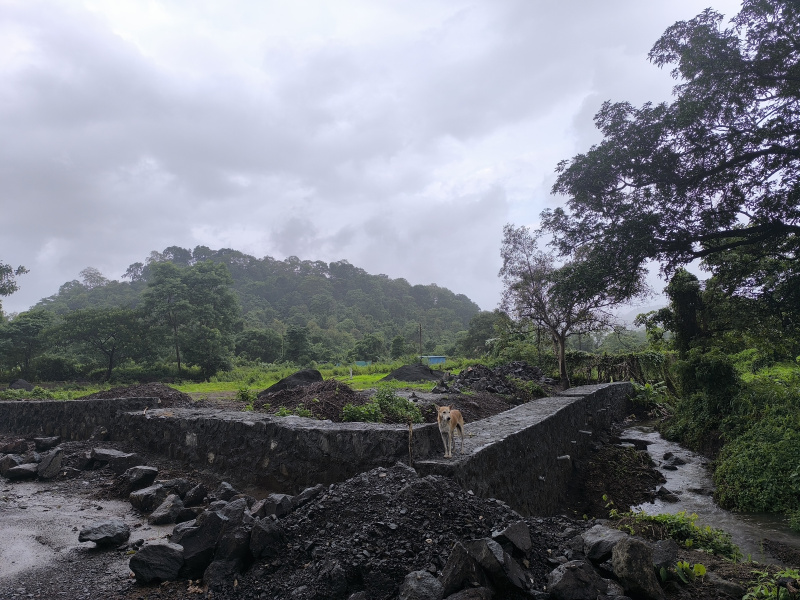  Residential Plot 50 Guntha for Sale in Pen, Raigad