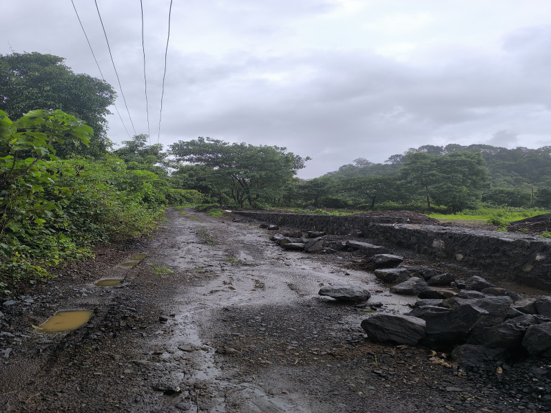  Residential Plot 50 Guntha for Sale in Pen, Raigad