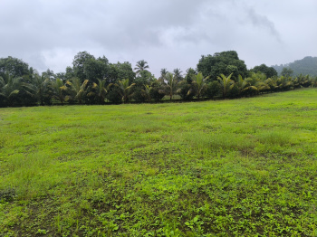  Residential Plot for Sale in Pen, Raigad