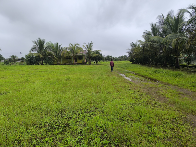  Residential Plot 20000 Sq.ft. for Sale in Pen, Raigad