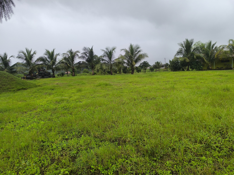  Residential Plot 20000 Sq.ft. for Sale in Pen, Raigad