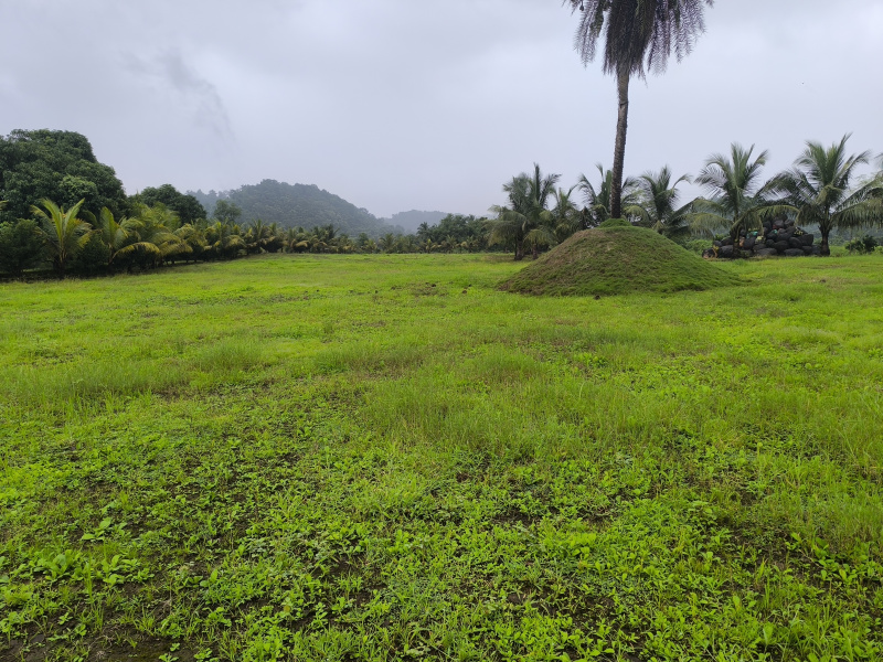  9999 Sq.ft. Residential Plot for Sale in Vindhane, Navi Mumbai