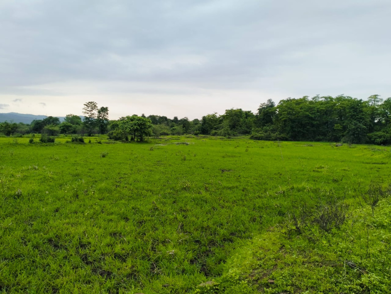  Residential Plot 17000 Sq.ft. for Sale in Vindhane, Navi Mumbai