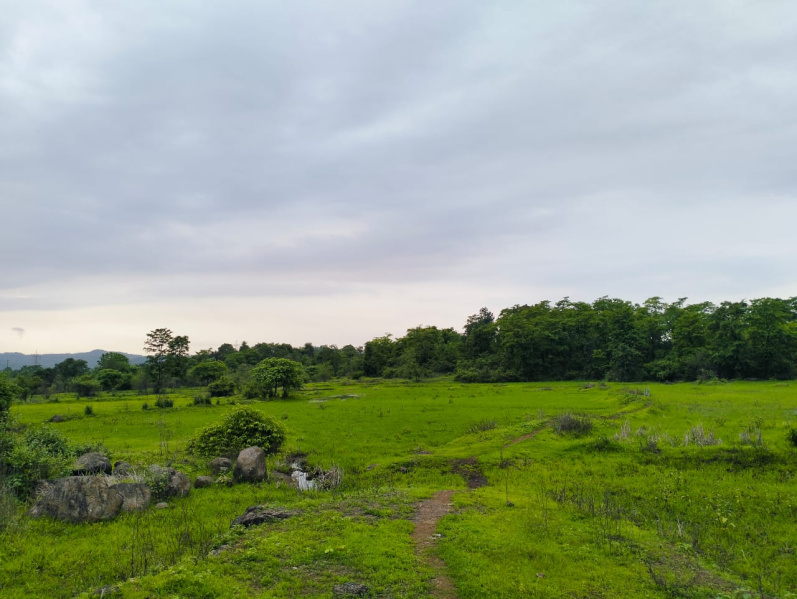  Residential Plot 17000 Sq.ft. for Sale in Vindhane, Navi Mumbai
