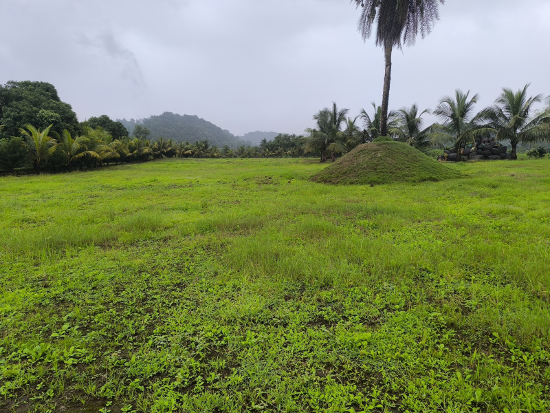  Residential Plot 4800 Sq.ft. for Sale in Vindhane, Navi Mumbai