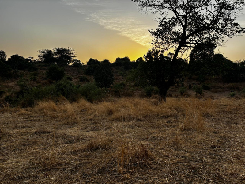  Residential Plot 6 Acre for Sale in Pali, Raigad
