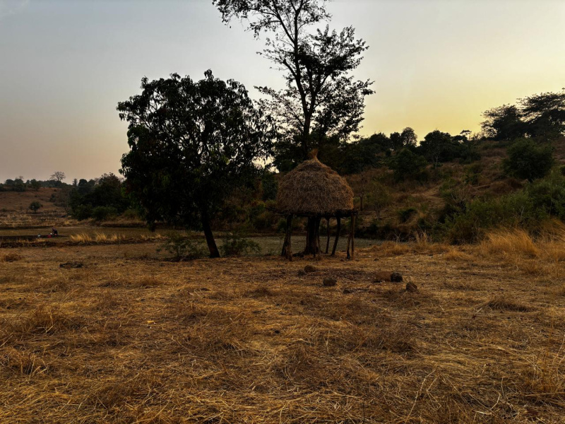  Residential Plot 6 Acre for Sale in Pali, Raigad