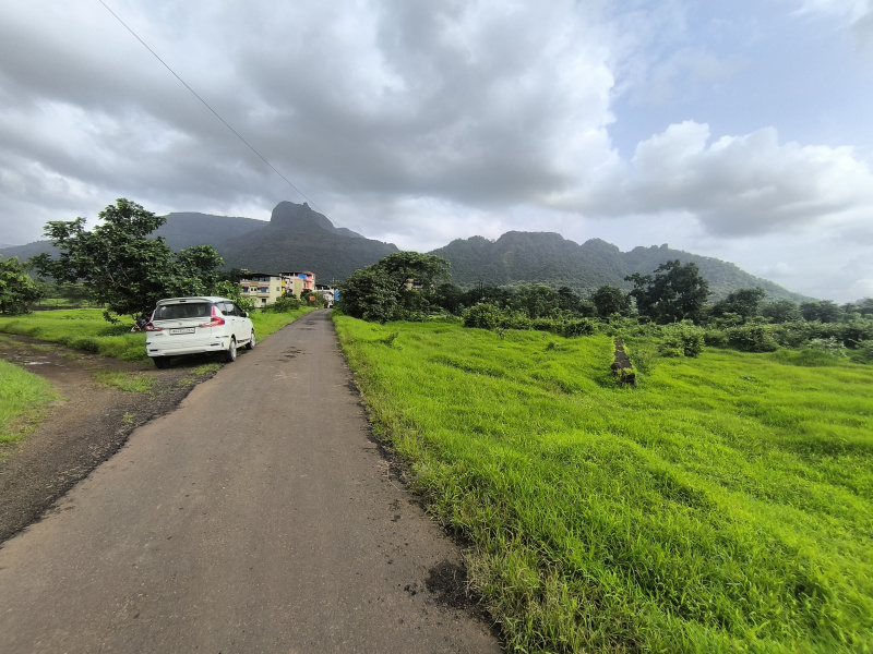  Residential Plot 40000 Sq.ft. for Sale in Waje, Raigad
