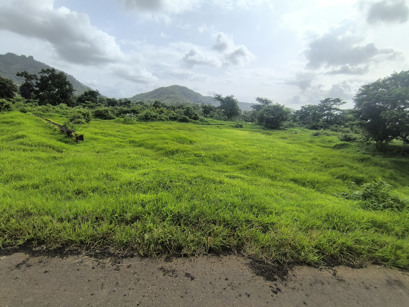  Residential Plot 40000 Sq.ft. for Sale in Waje, Raigad
