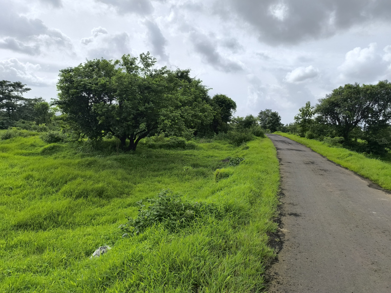  Residential Plot 40000 Sq.ft. for Sale in Waje, Raigad