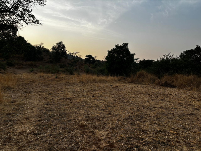  Residential Plot 21000 Sq.ft. for Sale in Vindhane, Navi Mumbai
