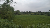  Residential Plot for Sale in Waje, Panvel, Navi Mumbai