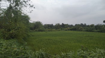  Residential Plot for Sale in Waje, Panvel, Navi Mumbai