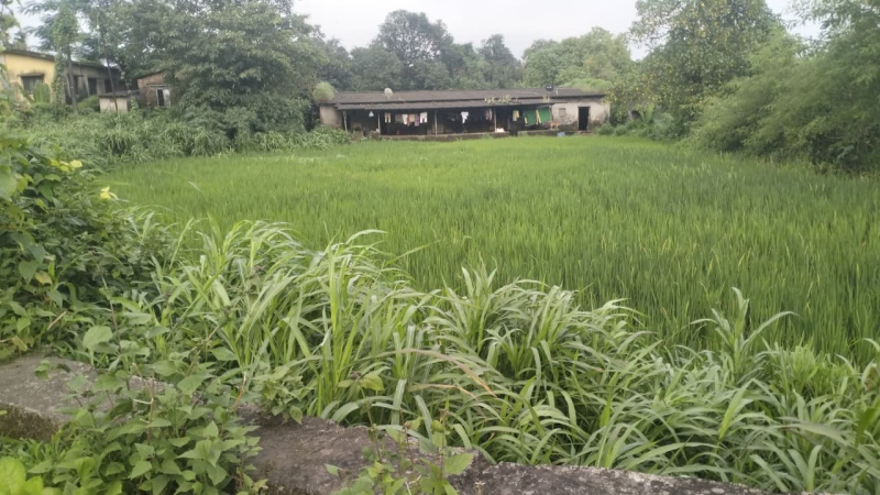  20000 Sq.ft. Residential Plot for Sale in Waje, Panvel, Navi Mumbai