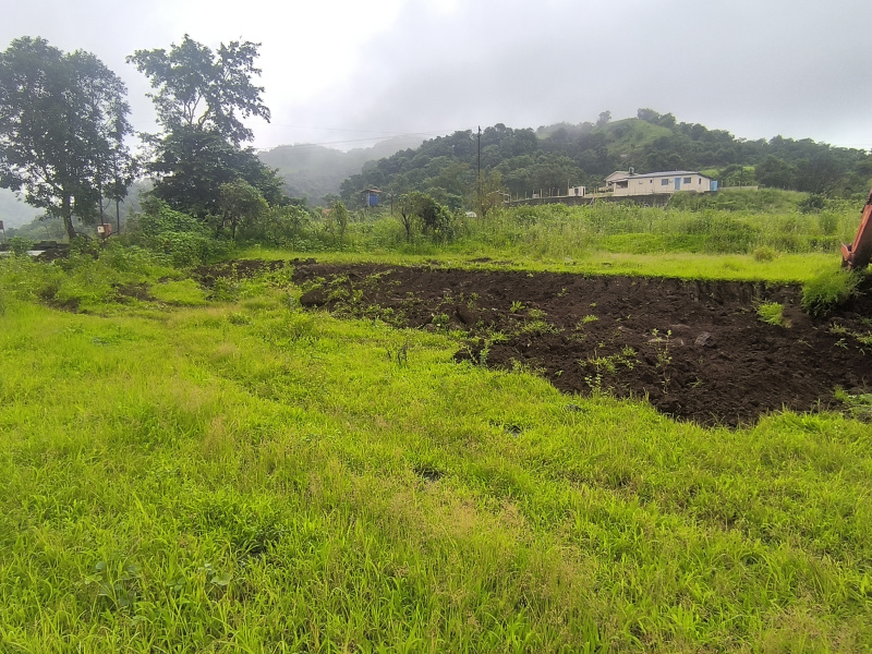  20000 Sq.ft. Residential Plot for Sale in Waje, Panvel, Navi Mumbai