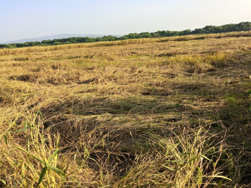  56 Guntha Residential Plot for Sale in Khalapur, Raigad