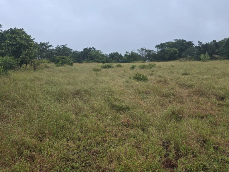  56 Guntha Residential Plot for Sale in Khalapur, Raigad