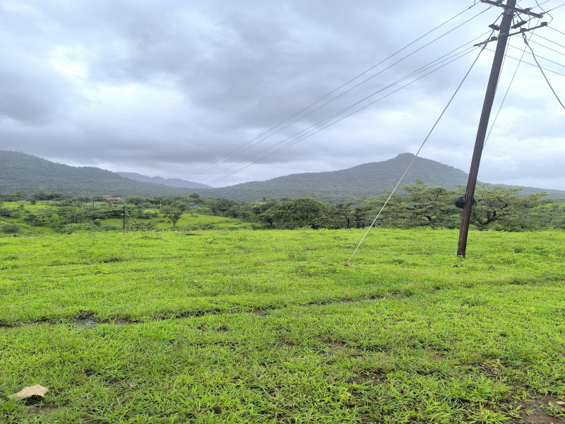  20000 Sq.ft. Residential Plot for Sale in Pen, Raigad