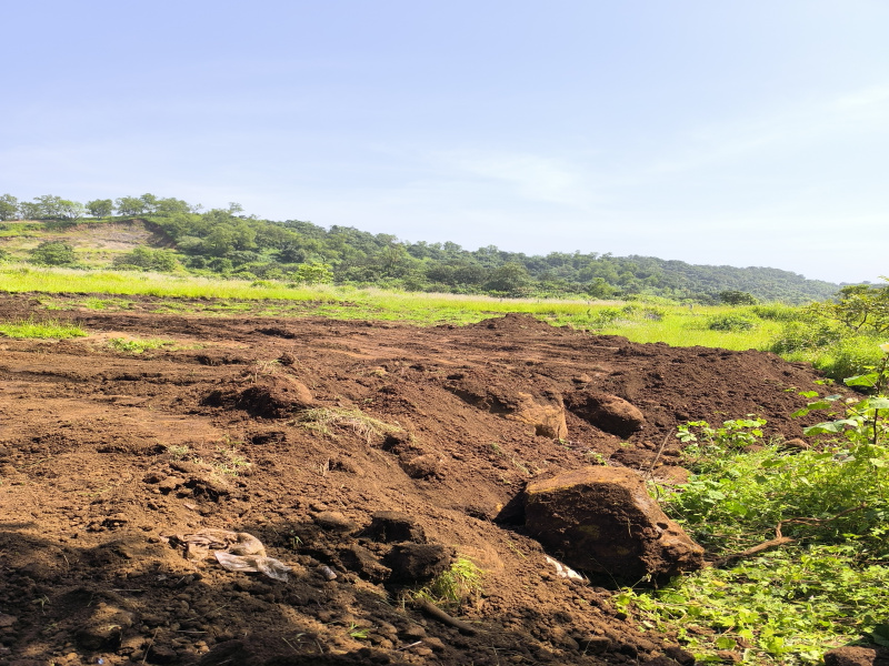  20000 Sq.ft. Residential Plot for Sale in Pen, Raigad