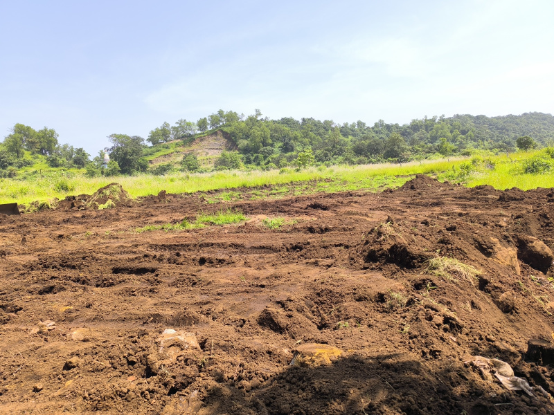  20000 Sq.ft. Residential Plot for Sale in Pen, Raigad