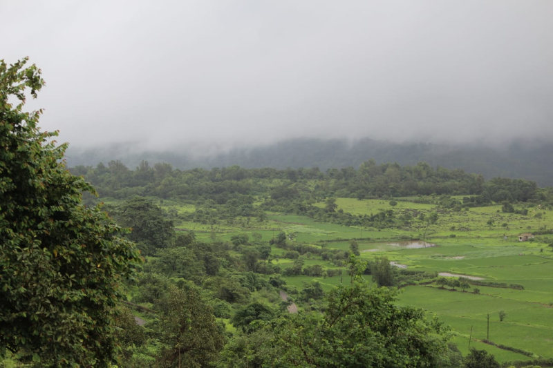  20000 Sq.ft. Residential Plot for Sale in Pen, Raigad