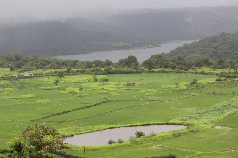  20000 Sq.ft. Residential Plot for Sale in Pen, Raigad