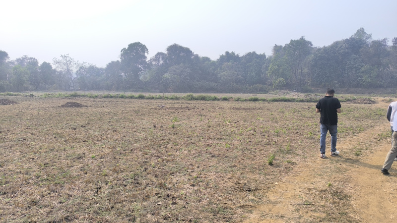  16000 Sq.ft. Residential Plot for Sale in Pen, Raigad